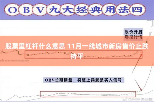 股票里杠杆什么意思 11月一线城市新房售价止跌持平