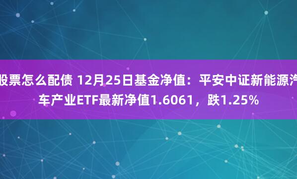 股票怎么配债 12月25日基金净值：平安中证新能源汽车产业ETF最新净值1.6061，跌1.25%