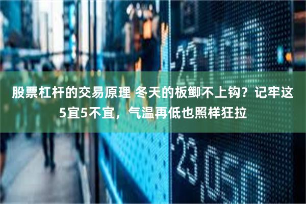 股票杠杆的交易原理 冬天的板鲫不上钩？记牢这5宜5不宜，气温再低也照样狂拉