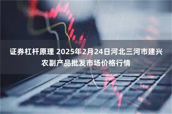 证券杠杆原理 2025年2月24日河北三河市建兴农副产品批发市场价格行情