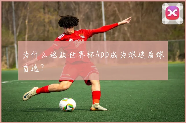 为什么这款世界杯App成为球迷看球首选？