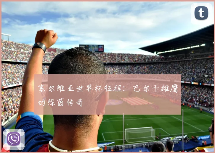 塞尔维亚世界杯征程：巴尔干雄鹰的绿茵传奇