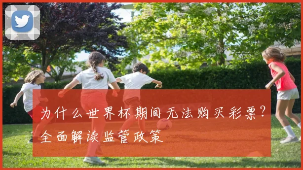 为什么世界杯期间无法购买彩票？全面解读监管政策